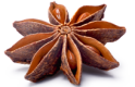 anise